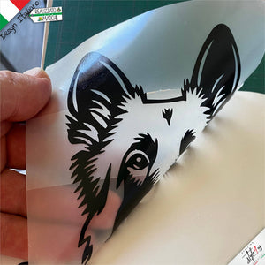 Adesivo Personalizzato Cane Pastore Belga con Nome – Vinile 3M™ Alta Resistenza