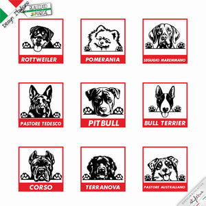 Adesivo cane a bordo, scegli tra le varie razze