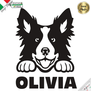 Border Collie